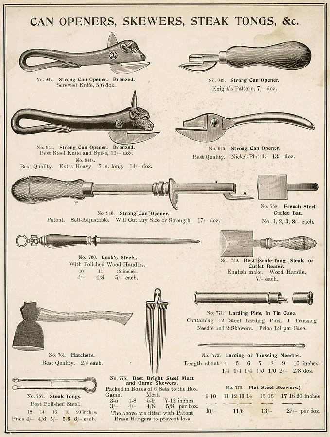 Bat Drawing - Can Openers, Sharpening Steels, Cutlet by Mary Evans Picture Library