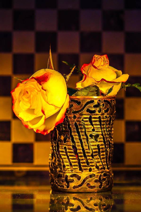 Can roses Photograph by Gerald Kloss