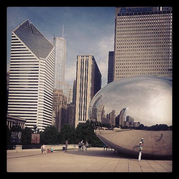 Can You Have Too Many Pics Of The Bean? Photograph by Lauri Novak