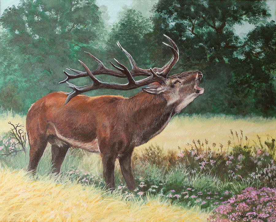 Deer Painting - Can you HEAR ME by Harm  Plat