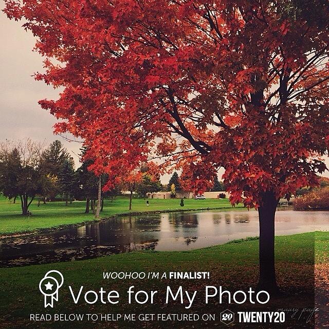 Can You Help Me Win The Best Of October Photograph by Maury Page