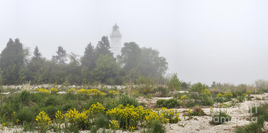 Cana Island Lighthouse and Fog - D003897 Photograph by Daniel Dempster