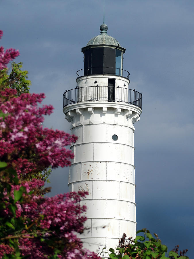 Cana Island Lighthouse and Lilacs Photograph by David T Wilkinson