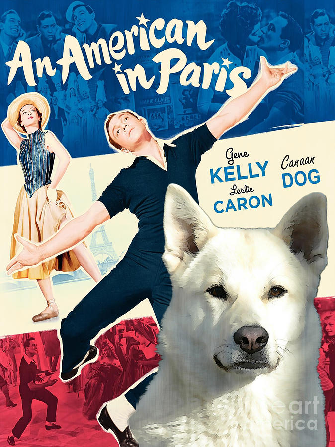 Canaan Dog Art Canvas Print - An American in Paris Movie Poster Painting by Sandra Sij
