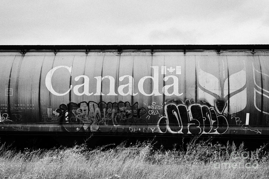 Truck Photograph - Canada freight grain trucks with tag graffiti on canadian pacific railway Saskatchewan Canada by Joe Fox