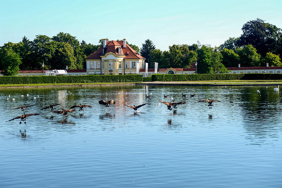 Canada Geese at Nymphenburg Palace Photograph by Marilyn Burton