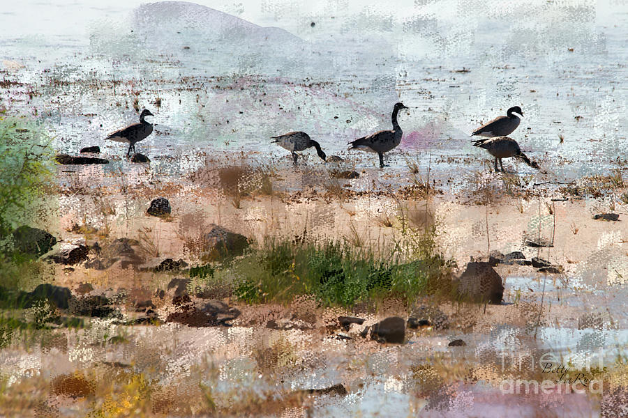 Canada Geese at the Lake Photograph by Betty LaRue