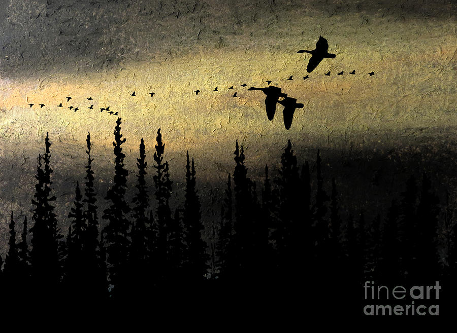 Canada Geese Seeking the Light Mixed Media by R Kyllo