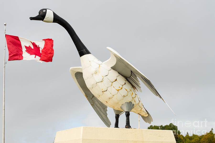 Canada Goose - 28 foot tall metal monument Photograph by Les Palenik