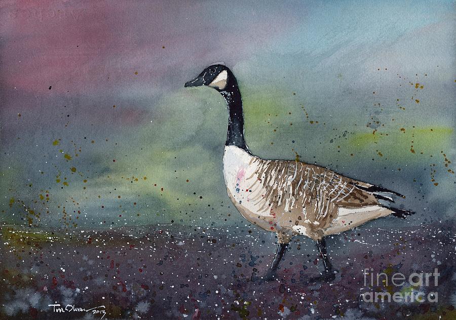 Canada Goose Painting by Tim Oliver