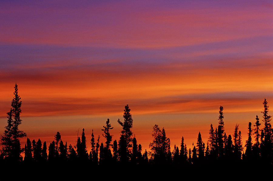 Canada, Northwest Territories, Ft Photograph by Jaynes Gallery | Fine ...