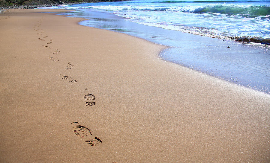 Beach Photograph - Canada, Nova Scotia, Footprints by Patrick J. Wall