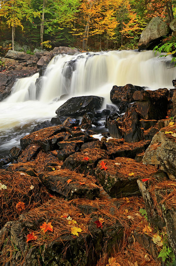 Canada, Ontario, Emsdale Photograph by Jaynes Gallery - Fine Art America