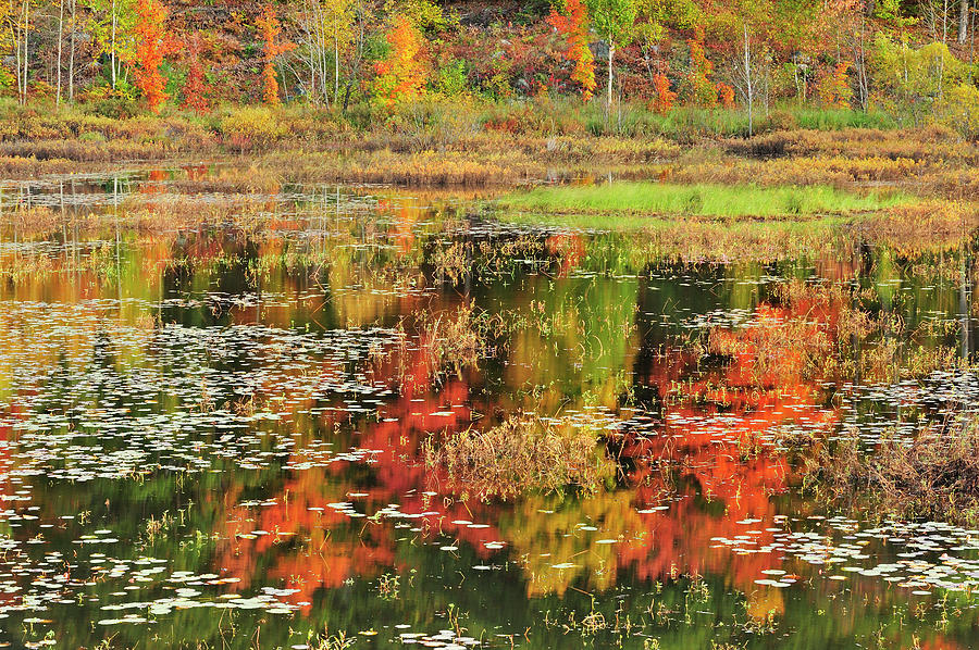 Fall Photograph - Canada, Ontario, Minden by Jaynes Gallery