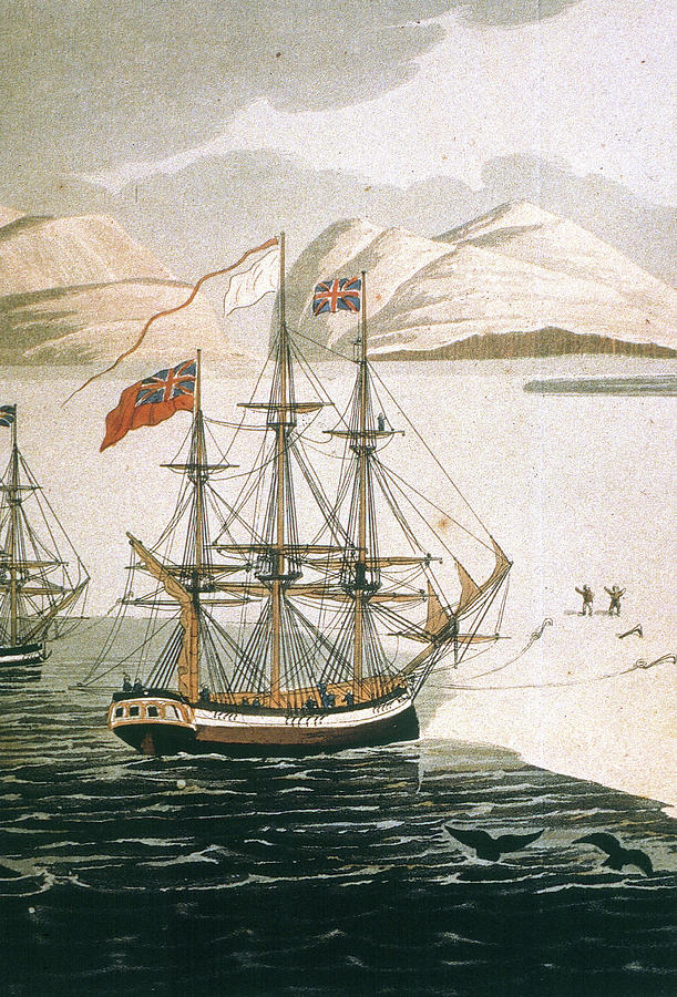 Canada Ross Ships, 1830s Painting by Granger