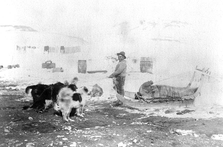 Canada Seal Hunt, C1882 Photograph by Granger