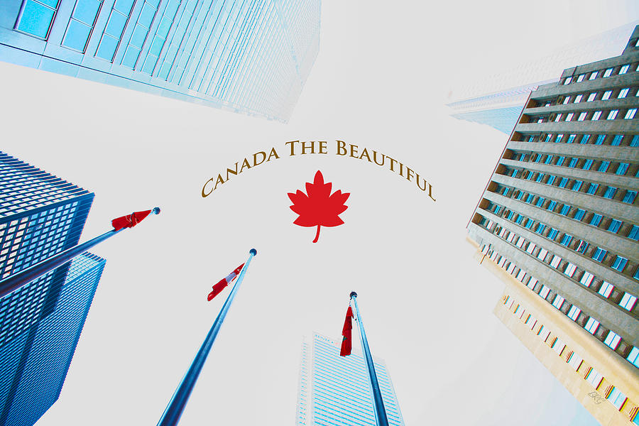 Canada The Beautiful - Toronto Sky Photograph by Ben and Raisa Gertsberg