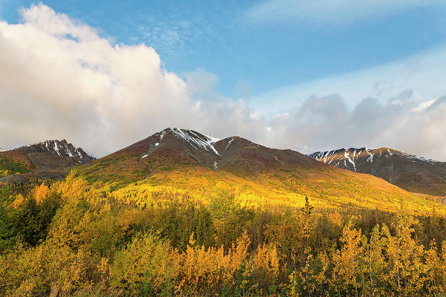 Canada, View Of Kluane National Park Photograph by Westend61