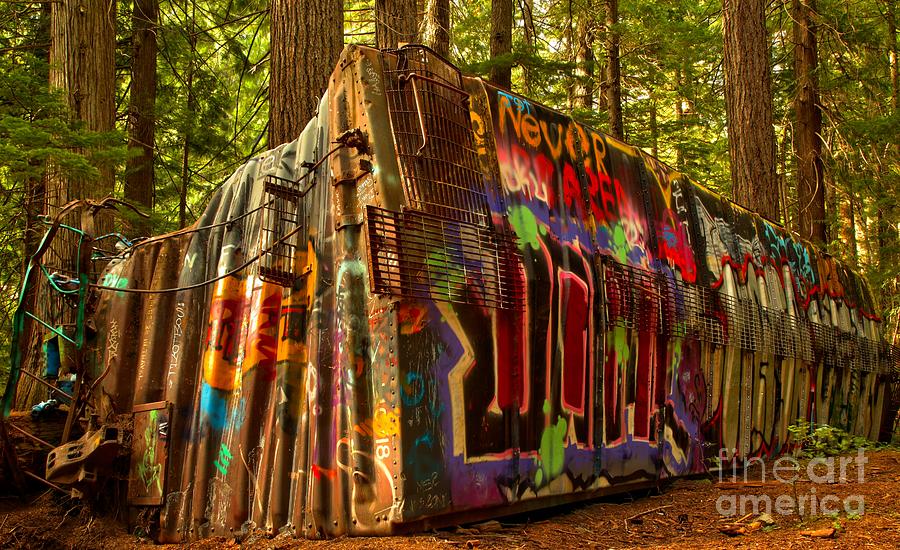 Canadian Box Car In The Forest Photograph by Adam Jewell