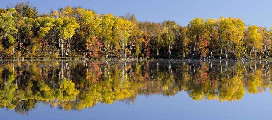 Canadian Autumn Landscape  Photograph by Don Johnston