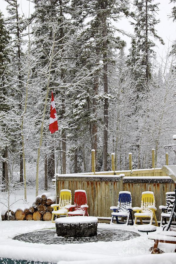 Primary Colors Photograph - Canadian Backyard by Alanna DPhoto