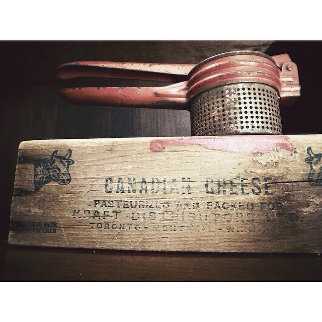 Vintage Photograph - Canadian Cheese by Natasha Marco