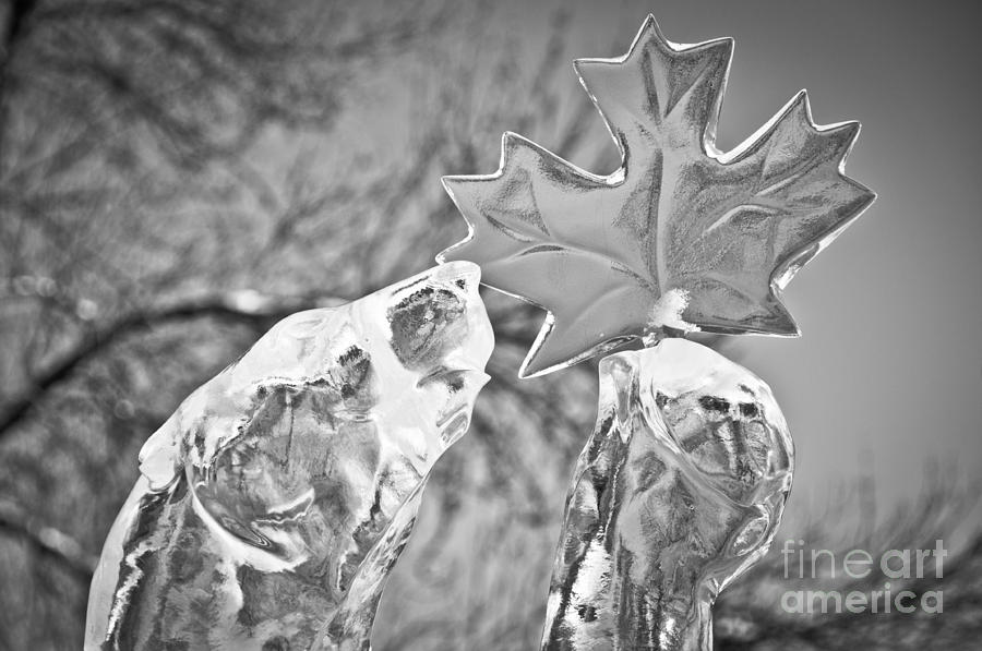 Canadian Photograph by Cheryl Baxter
