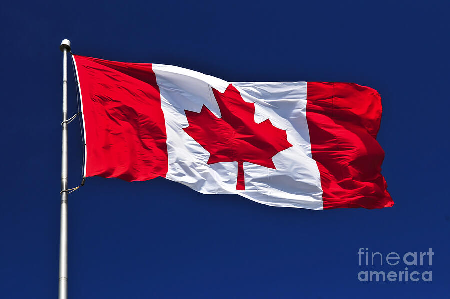 Canadian flag Photograph by Elena Elisseeva