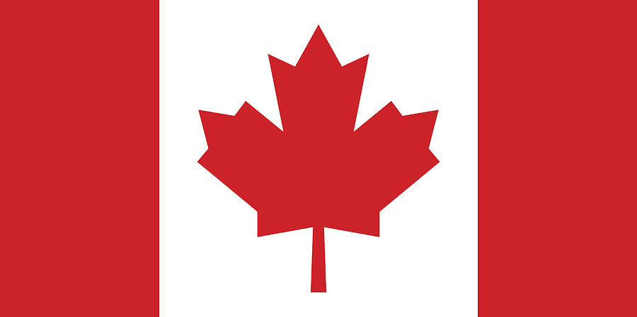Canadian Flag (Official Colors) Drawing by Leontura