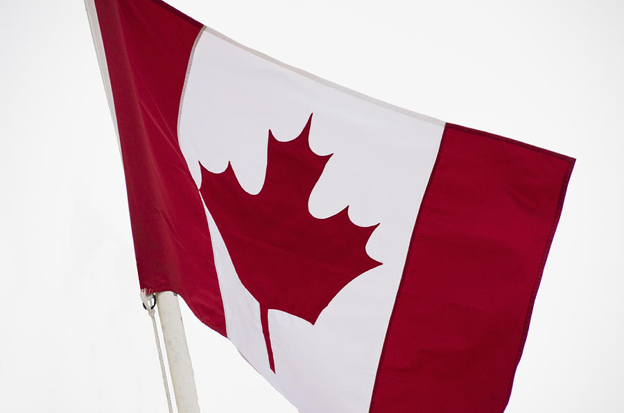 Canadian flag Photograph by Paulo Goncalves