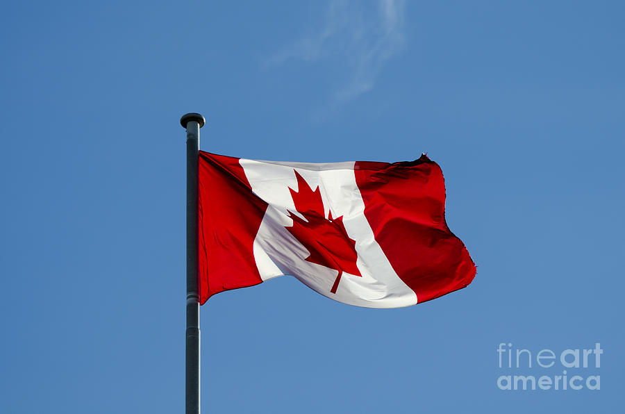 Canadian flag Photograph by Steev Stamford