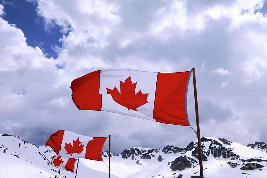 Winter Photograph - Canadian Flags At Whistler by Charline Xia