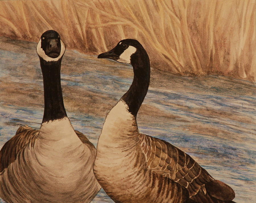 Canadian Geese Painting by Michelle Miron-Rebbe