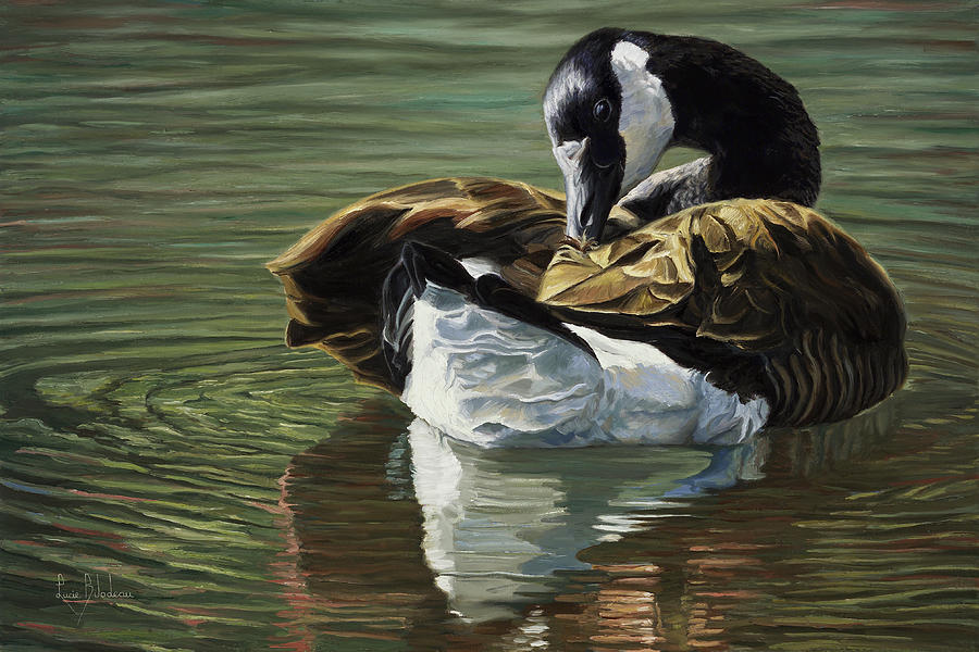 Goose Painting - Canada Goose by Lucie Bilodeau