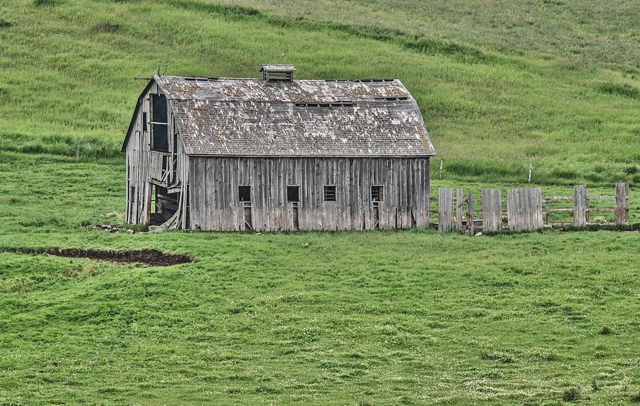 Canadian Gray Barn Photograph by Bert Peake
