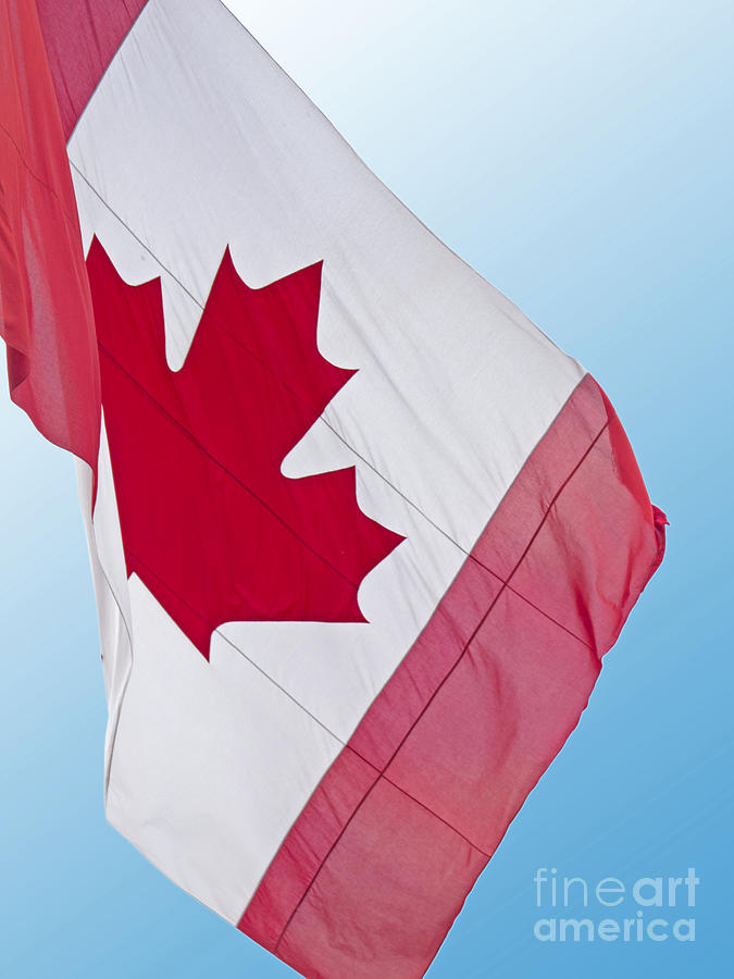 Flag Photograph - Canadian Maple Leaf by Ann Horn