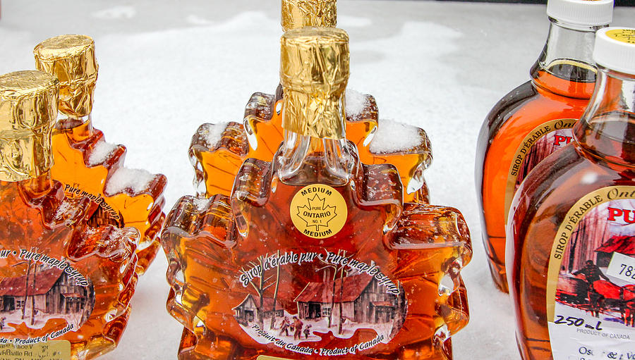 Canadian Maple Syrup Photograph by Nick Mares