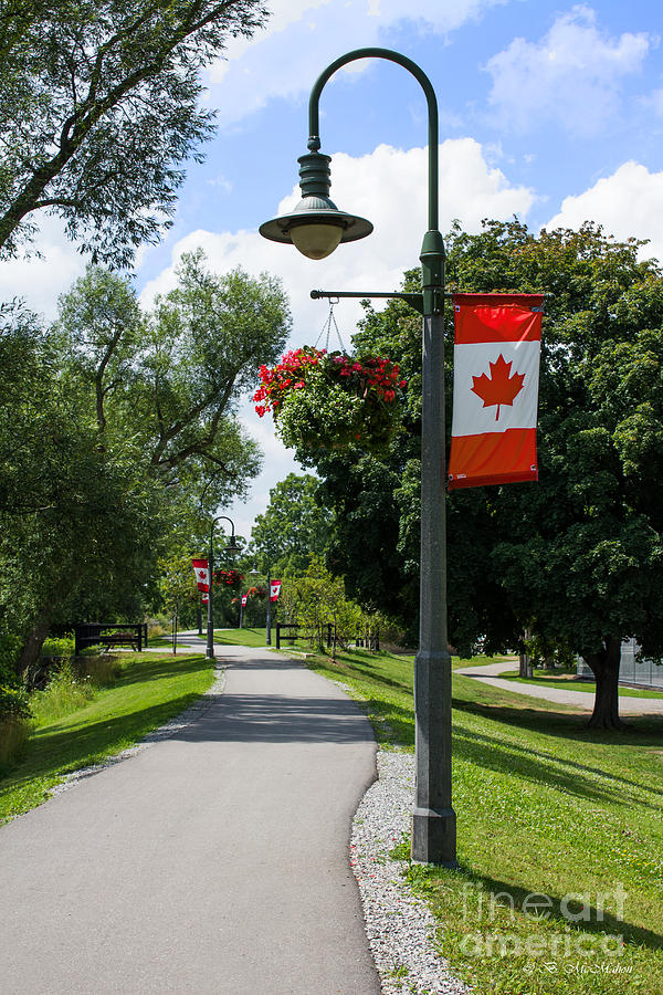 Canadian Pathway Photograph by Barbara McMahon