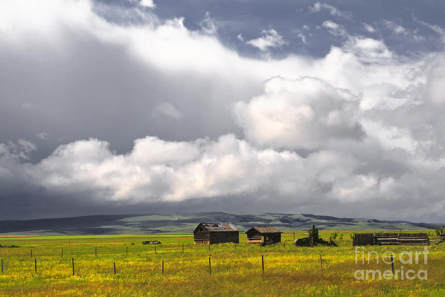 Canadian Prairie Photograph by Charline Xia