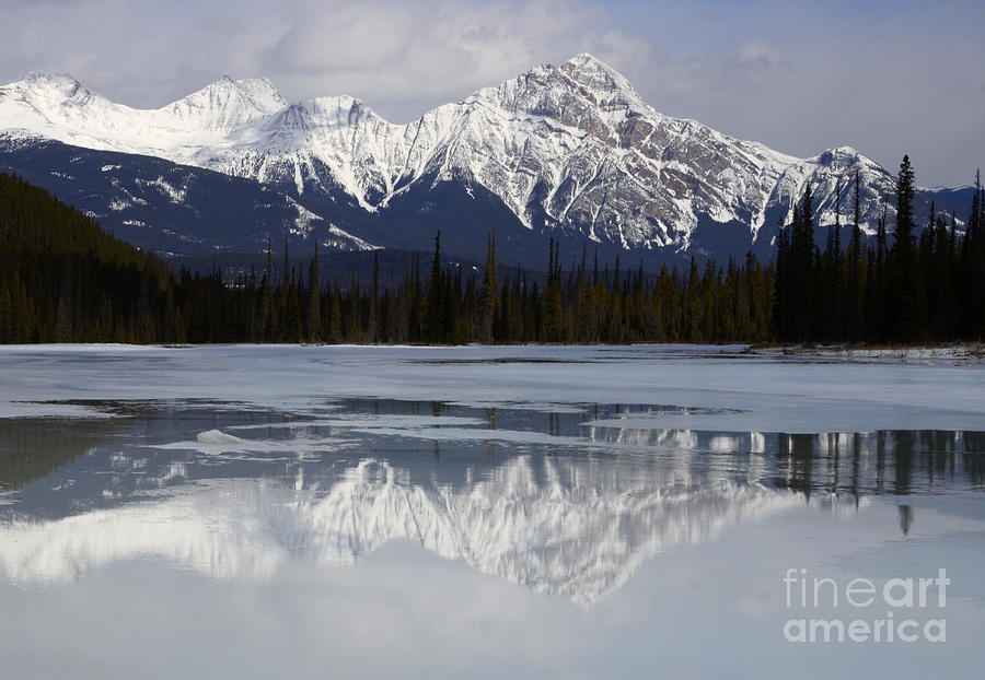 Canadian Rockies 7 Photograph by Bob Christopher