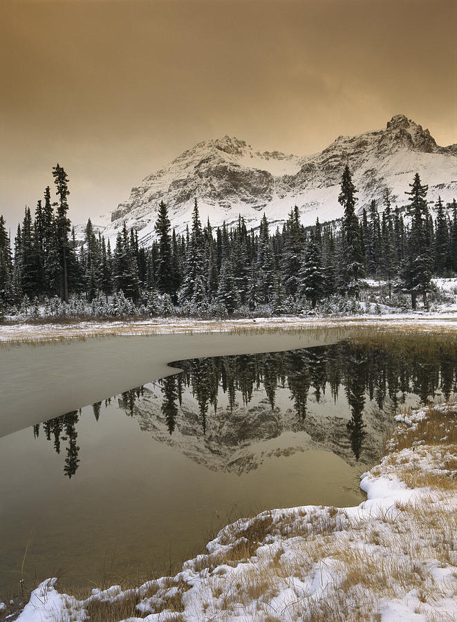 Canadian Rockies Dusted with Snow Photograph by Tim Fitzharris