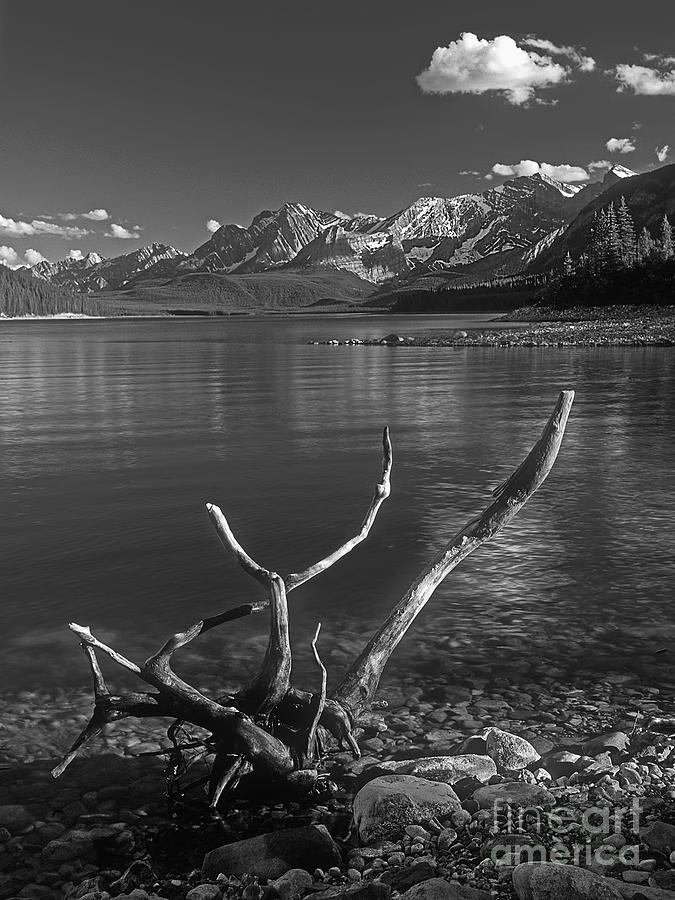 Canadian Rockies Photograph by Inge Riis McDonald