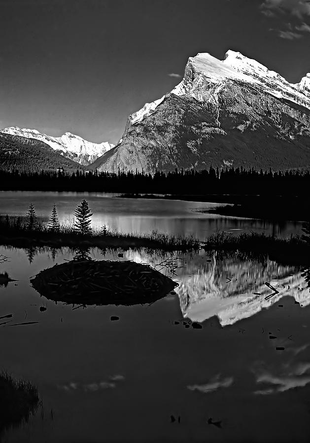 Banff National Park Photograph - Canadian Rockies by Steve Harrington