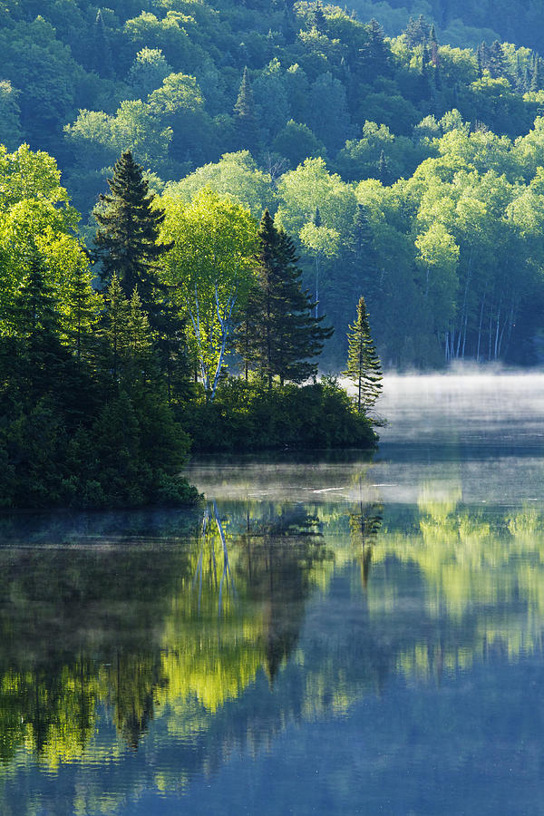 Canadian Summer Morning Photograph by Mircea Costina Photography