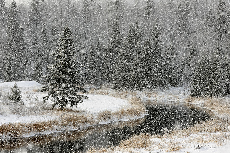Canadian Winter Landscape Photograph by Don Johnston
