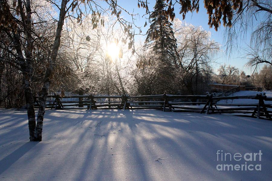 Canadian Winter Photograph by Margaret Hamilton