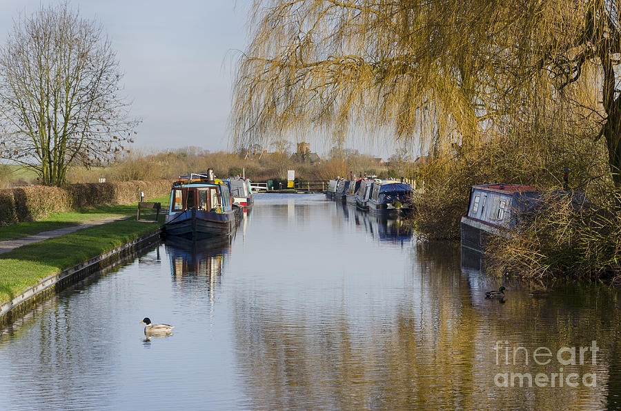 Canal at Alrewas Photograph by Steev Stamford