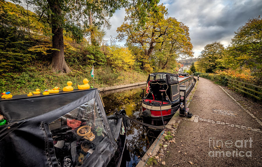 Fall Photograph - Canal Ducks by Adrian Evans