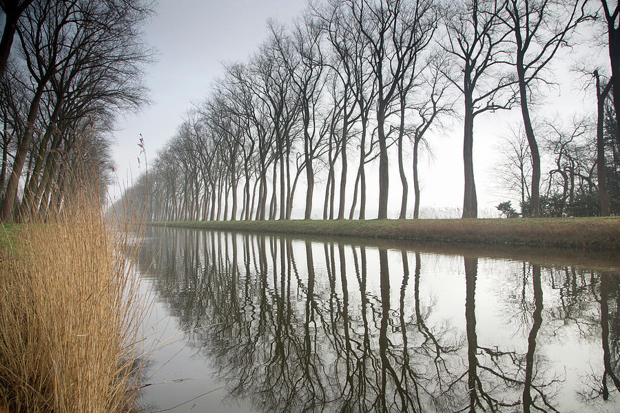 Canal Photograph by Grant Faint