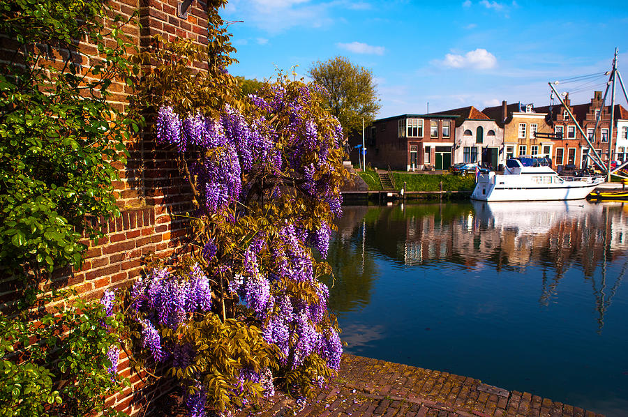 Bicycle Photograph - Canal in Brielle. Netherlands by Jenny Rainbow